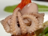 baby-octopus-panzanella