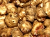 food11
