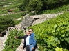 rene favre and fils vineyards
